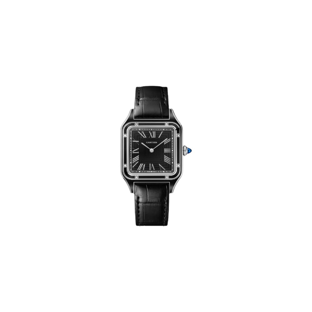 RELOJ C SANTOS BLACK