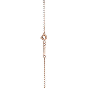 COLLAR DOBLE PLACA ROSEGOLD