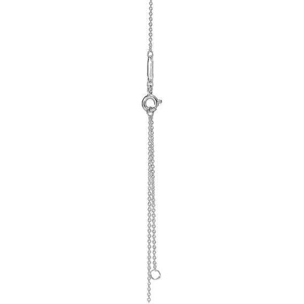 COLLAR DOBLE PLACA ROSEGOLD PLATA