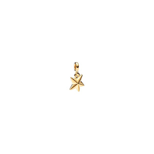 CHARM STAR GOLD BLACK