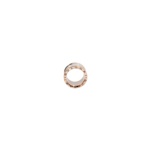 ANILLO BV ANISH KAPOOR