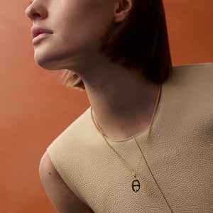 COLLAR H MINI MAILLON GOLD-BLACK