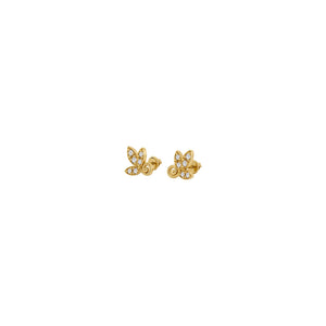ARETES T PALOMA PICASSO