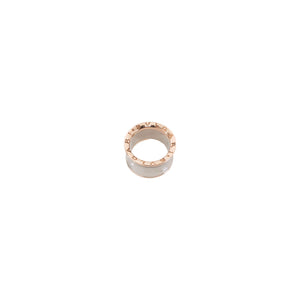 ANILLO BV ANISH KAPOOR