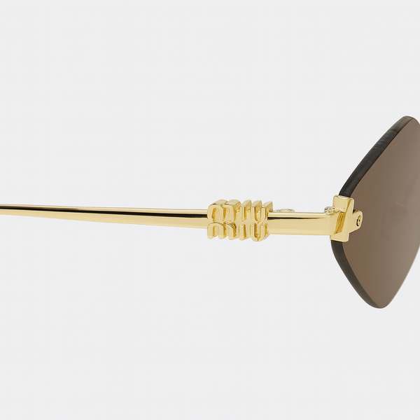 LENTES EYEWEAR BROWN MM