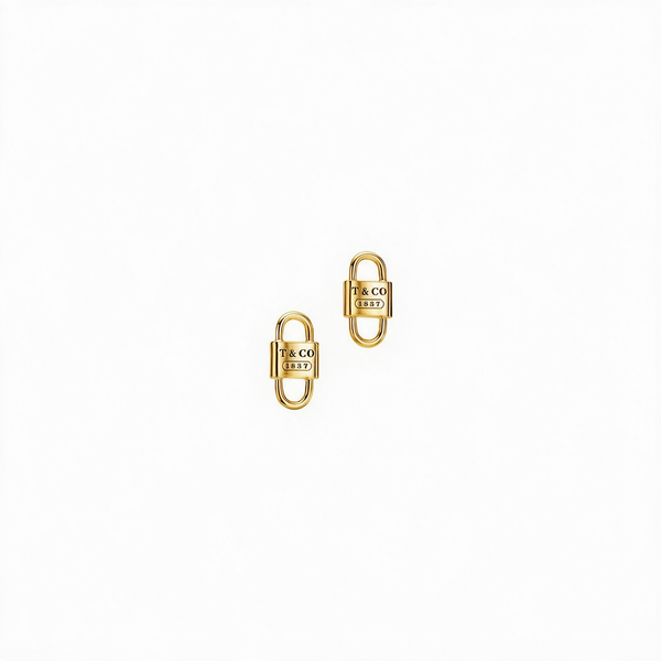 ARETES T PADLOCK